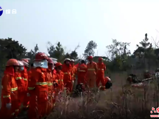 霍邱县举行2024年森林防灭火演练