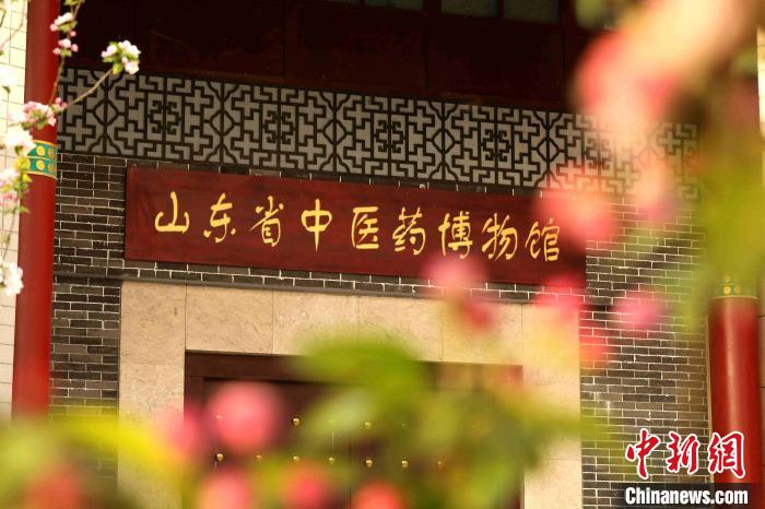 春回杏林，山东省中医药博物馆前海棠花开。　黄海量 摄