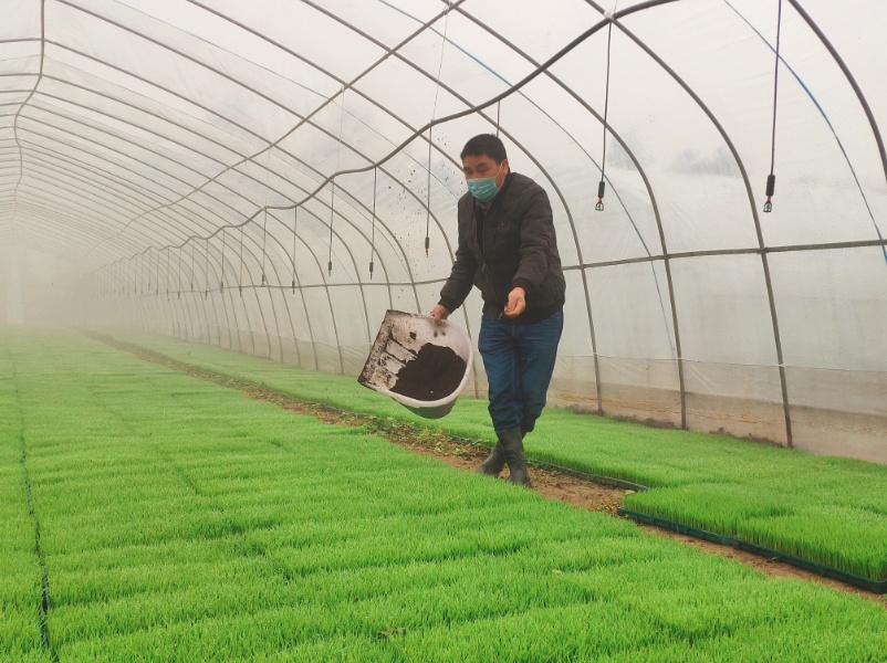 微信截图_20200331090301.png?x-oss-process=style/w10