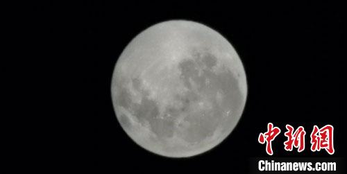 兰大教授再登南极大陆：恨不得与每一棵植物亲密邂逅