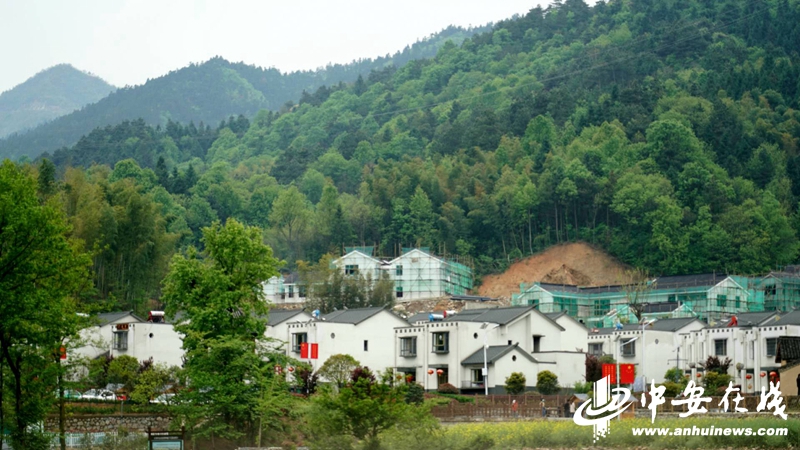 大湾村 小岗村 这里是唱响乡村振兴的“新农村”！