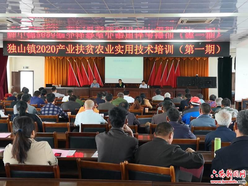 裕安区拓展产业扶贫培训层次  提升脱贫攻坚成效