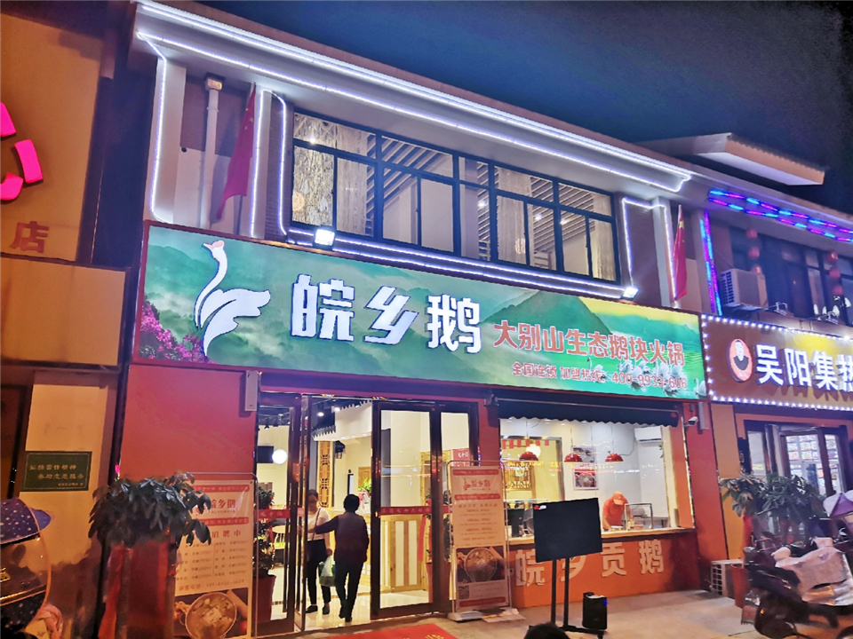 探索舌尖奥秘的人