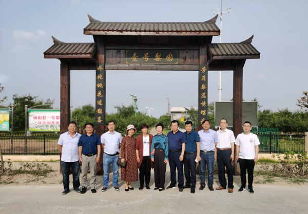 赖红梅率队赴砀山县考察学习水果产业发展