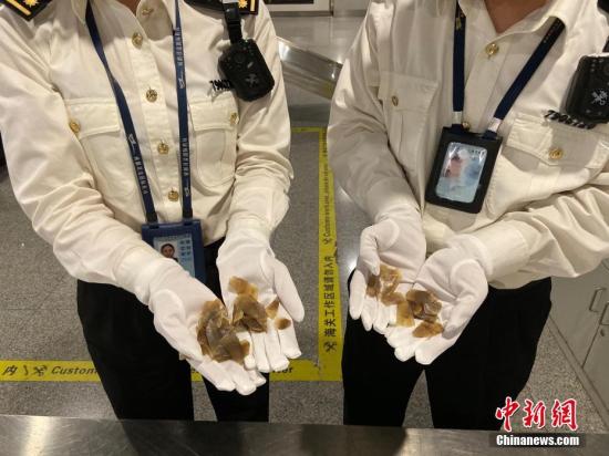 两部门就《国家重点保护野生动物名录》公开征求意见