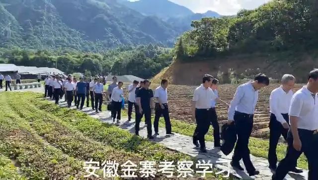 “兄弟”的震撼，来自大别山的那一边