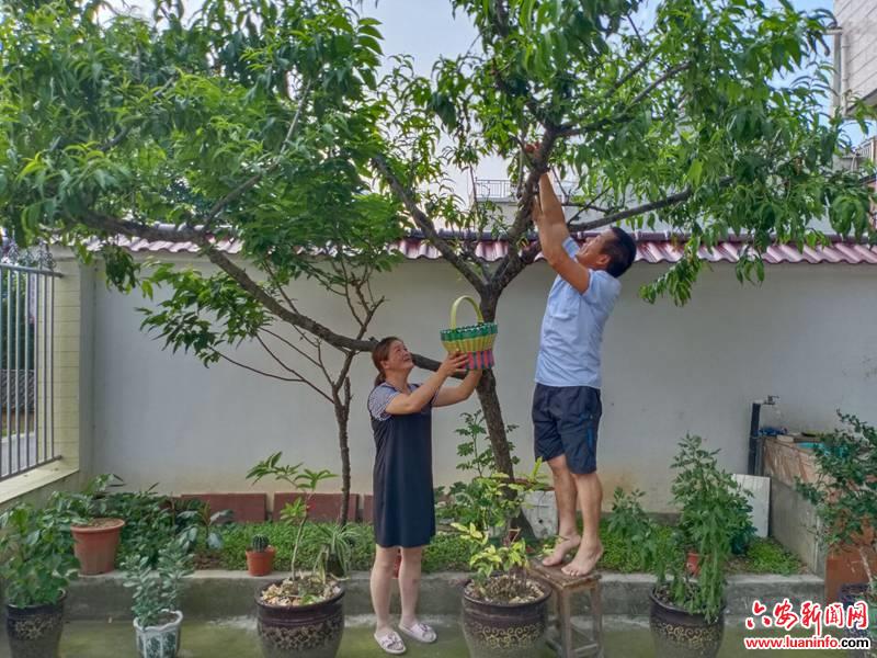 舒城县河棚镇：打造美丽庭院 扮靓美丽乡村