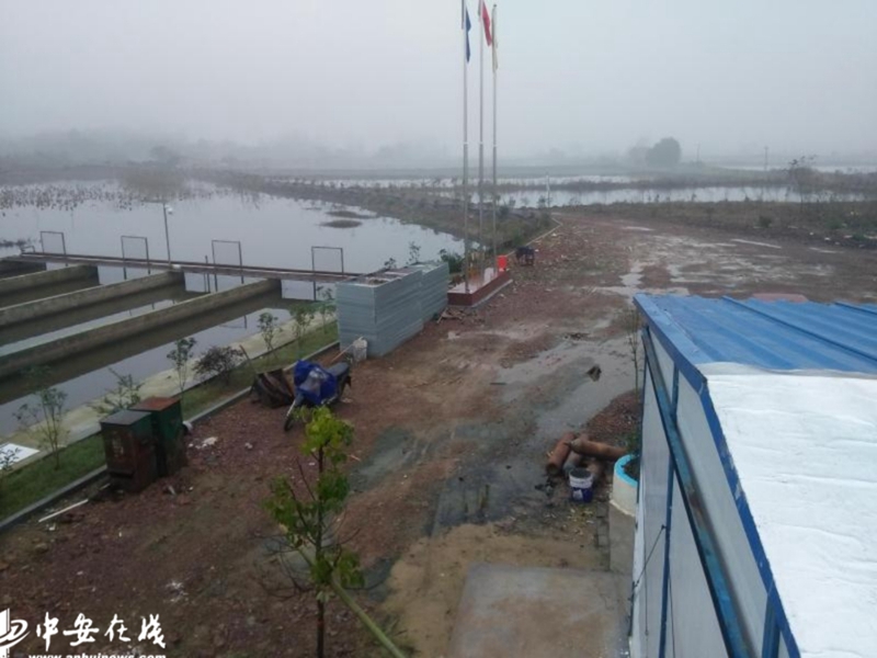 【长江禁捕退捕在行动】"专利大王"转型带动社员致富