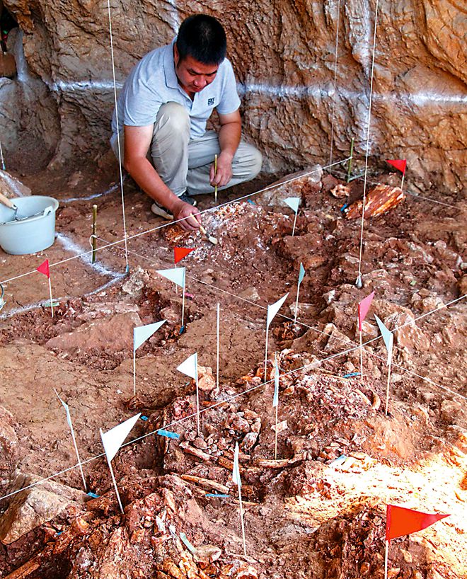 繁昌人字洞遗址启动新一轮发掘