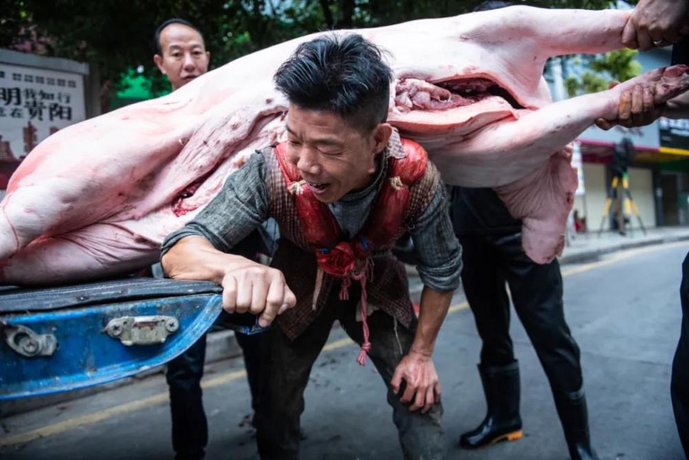 45岁"背猪汉"17年背近10万头猪 养活一家七口