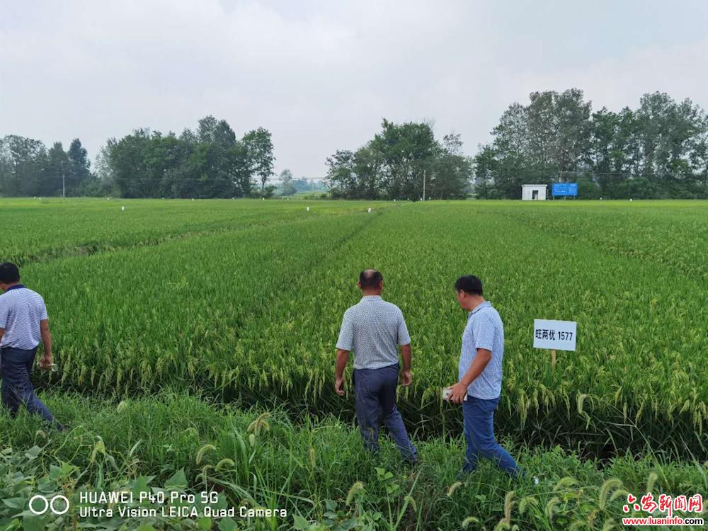 2984aeacb377488886fc6d3c41668271.jpg 2984aeacb377488886fc6d3c41668271.jpg