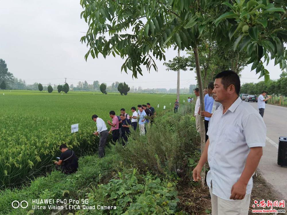 b5de6554b88c47ed876806e918f2a2d4.jpg b5de6554b88c47ed876806e918f2a2d4.jpg