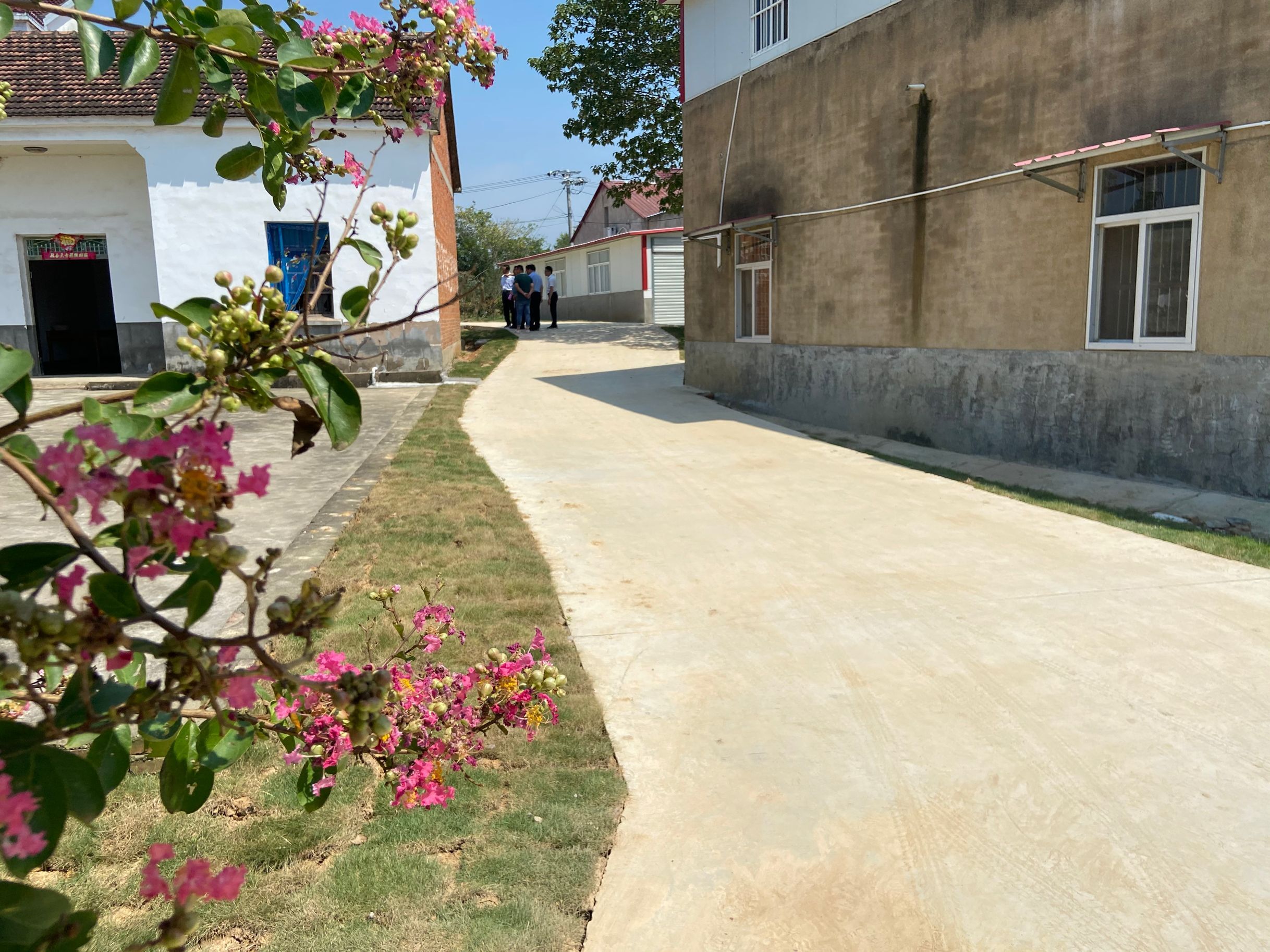 一个小乡村的华丽转身