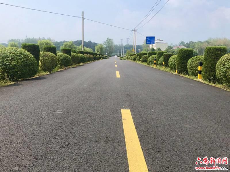 舒城县张母桥镇：改善人居环境 乡村美景“入画来”