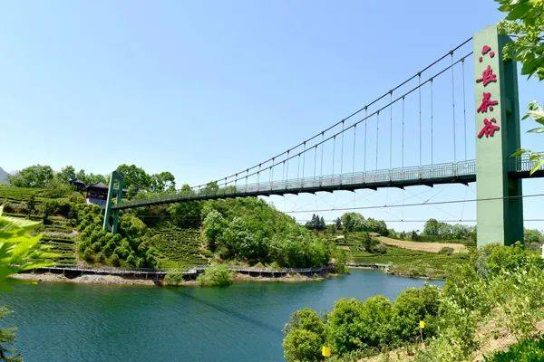 六安瓜片入选中欧签署地理标志协定互认清单