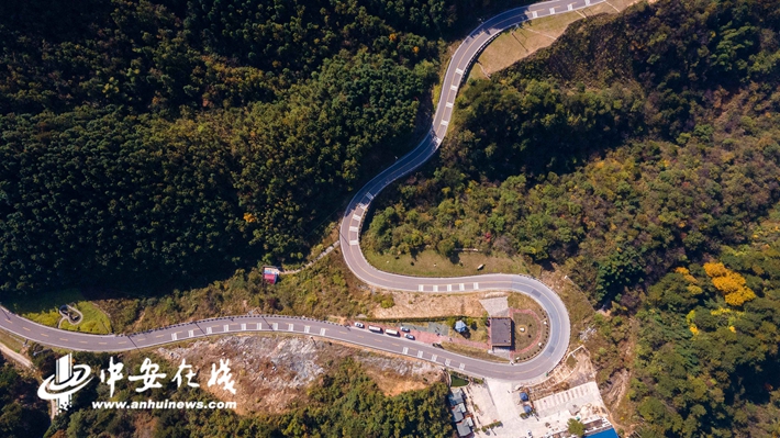 【走向我们的小康生活】大别山里的“致富路”