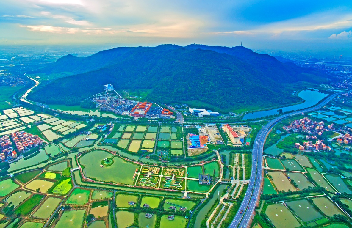 全国百家网媒聚焦飞鸿故里，西樵彰显“5A城市”魅力