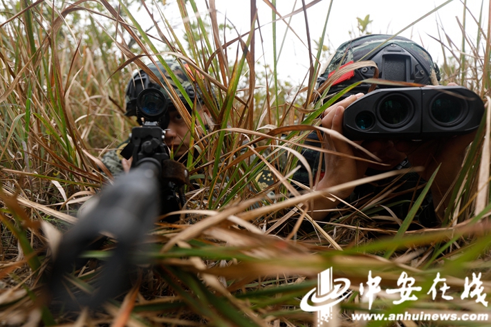 【组图】砺剑大别山！武警实战化训练提升反恐作战能力