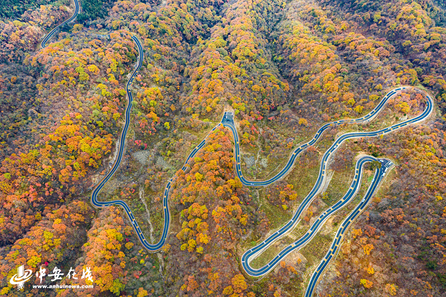 安徽金寨：大别山革命老区的“七彩脱贫路” 【组图】