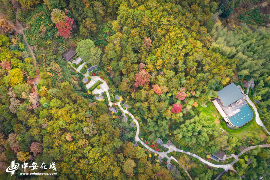 安徽霍山：山野涌出“致富泉”【组图】