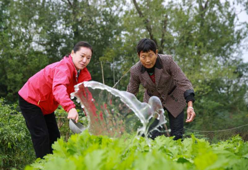 【榜样】韩庆玲：铁腿书记，一直行走在扶贫路上