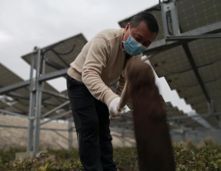 李冬森：电力扶贫到定点帮扶 打造脱贫致富样板村