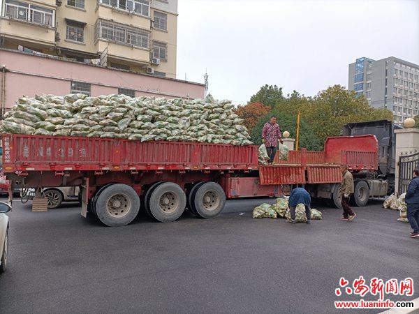 霍邱县冯瓴乡：积极对接萝卜销售 保障贫困户增收