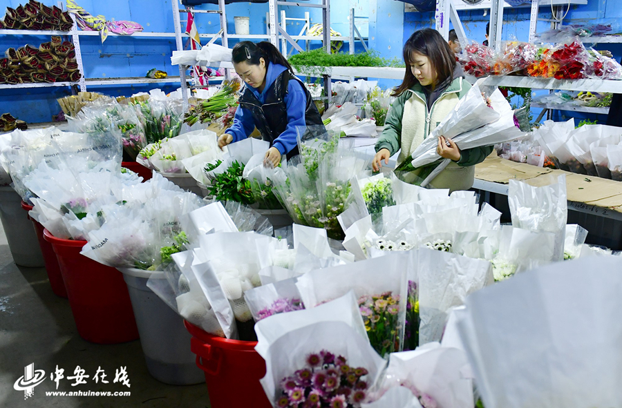 阜阳当地仓库里准备销往全国的鲜花.jpg