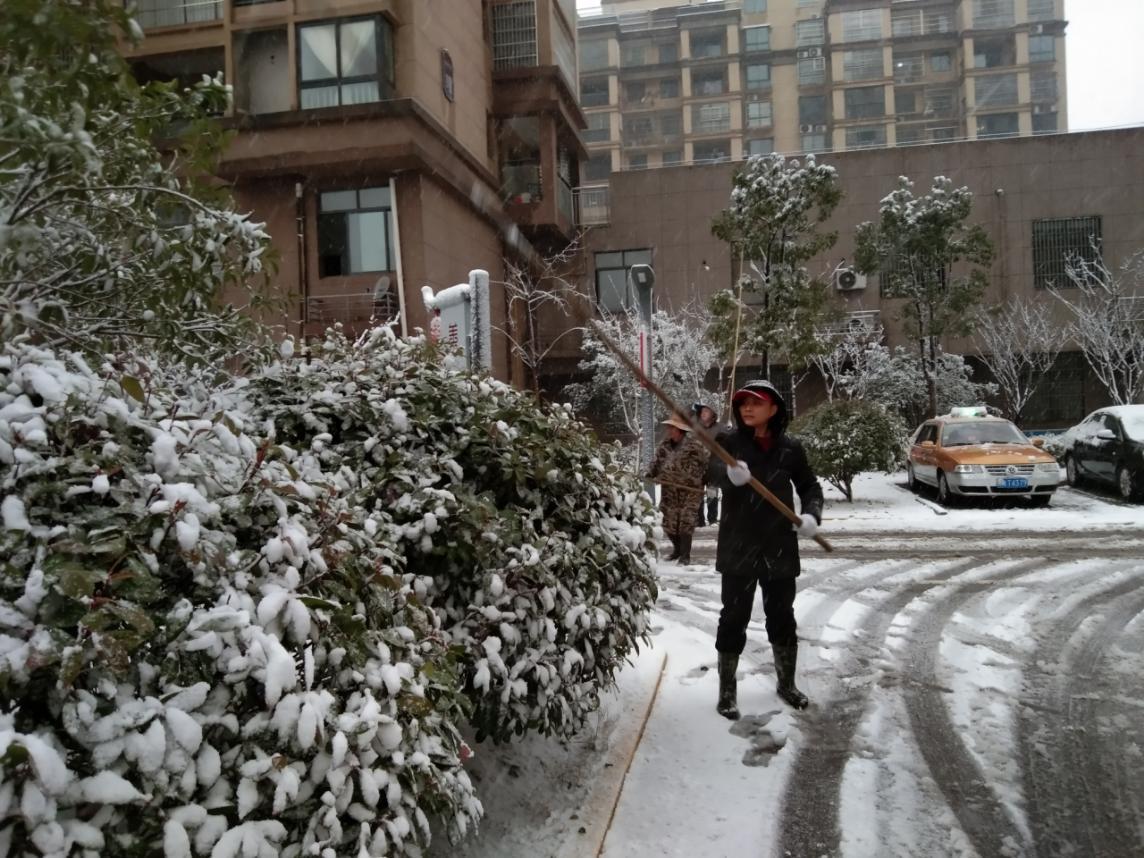 除雪保绿金寨在行动