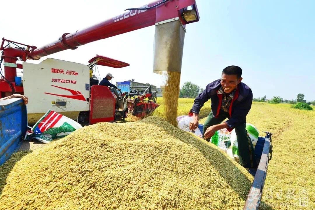 安徽农民收入5年进了7位