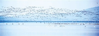 rmrbhwb2021012507p22_b.jpg?x-oss-process=style/w10