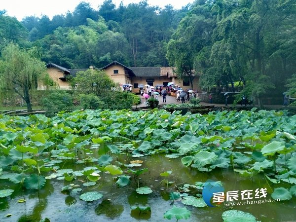 百年风华正青春!中国红青年Vlog大赛启幕 献礼建党100周年