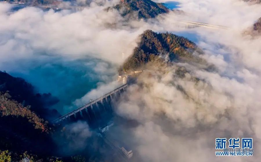 1612665176653084472.jpg 图片