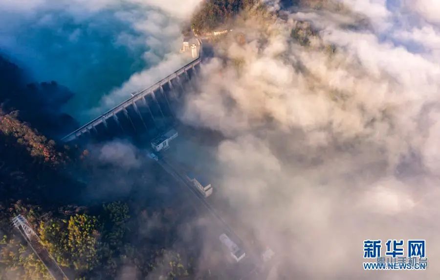 1612665188523076739.jpg 图片