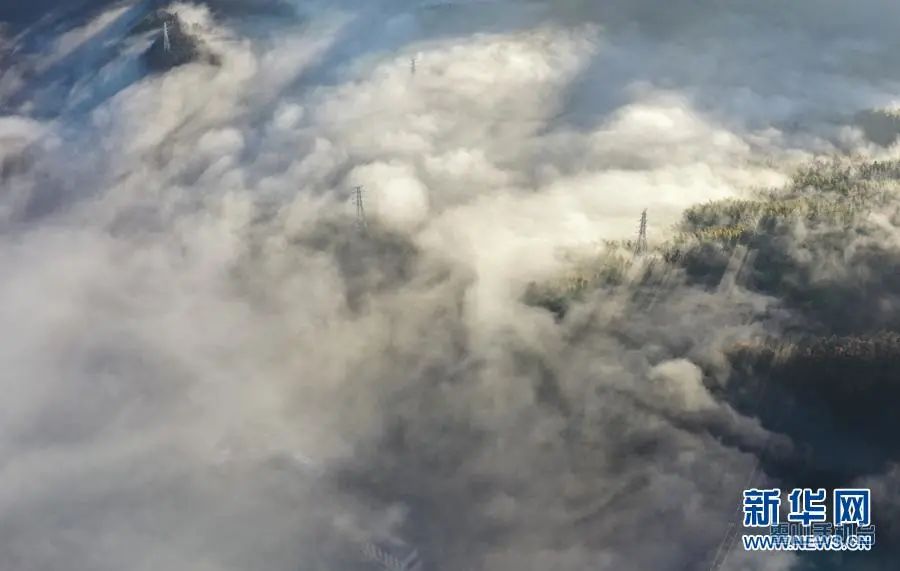 1612665142027057296.jpg 图片