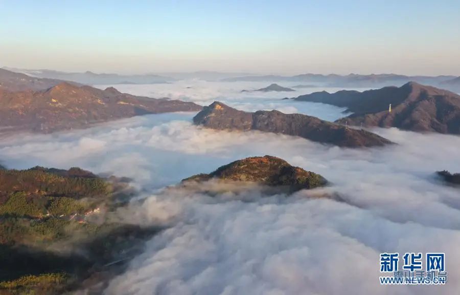 1612665075996043447.jpg 图片