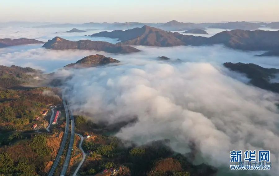 1612665054302040061.jpg 图片