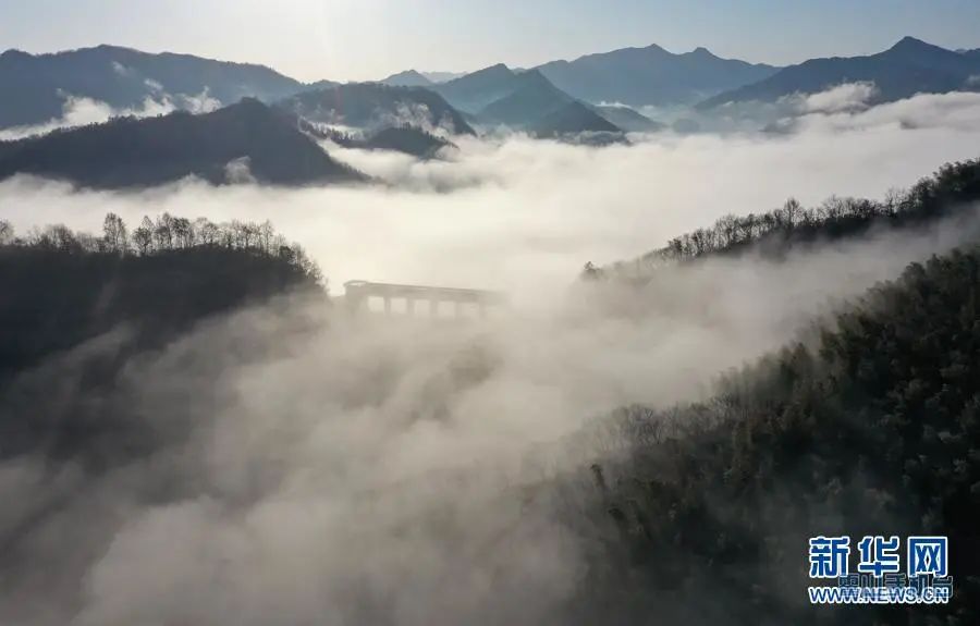 1612665105581051308.jpg 图片