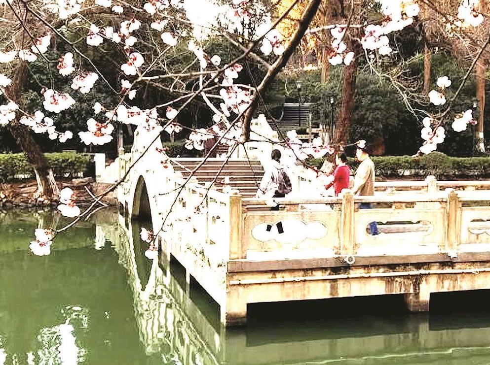 春花烂漫九墩塘