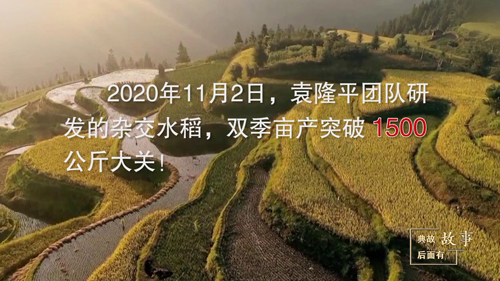 这位“90后”让世界1/5的人吃上饱饭