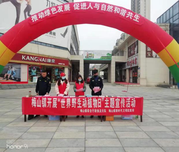 金寨县梅山镇新时代文明实践之开展“世界野生动植物日”主题宣传活动