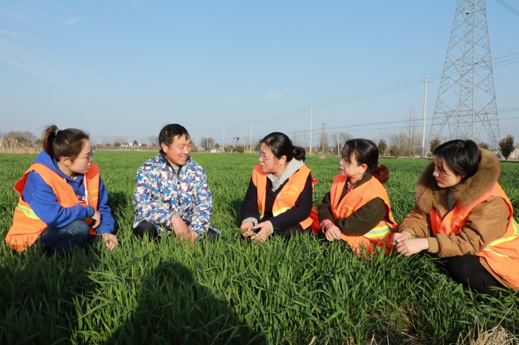 安徽舒城：田间地头传技术 撒播春耕“及时雨”