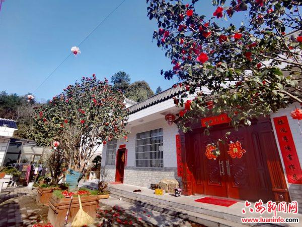 霍山漫水河镇：古道春风花似锦，养生谷里农家乐