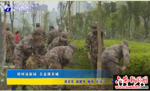 植树添新绿春意满皋城 