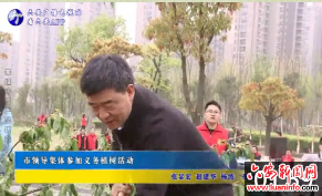 市领导集体参加义务植树活动 