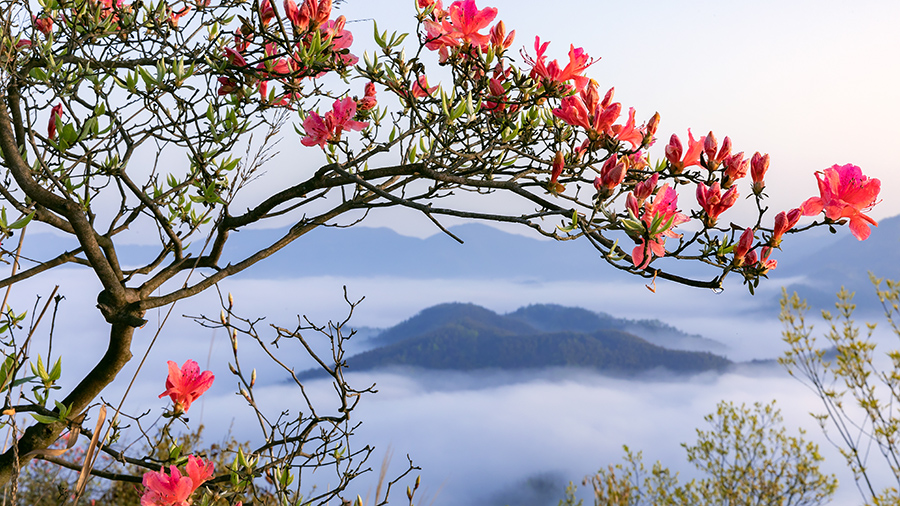 人民网：春到大别山 绿水绕青山