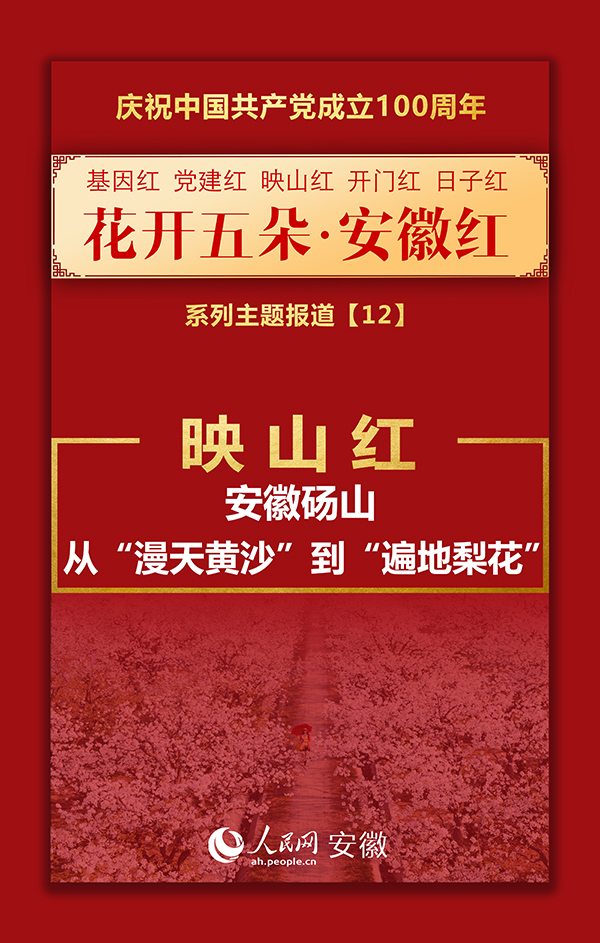 映山红丨安徽砀山：从“漫天黄沙”到“遍地梨花”
