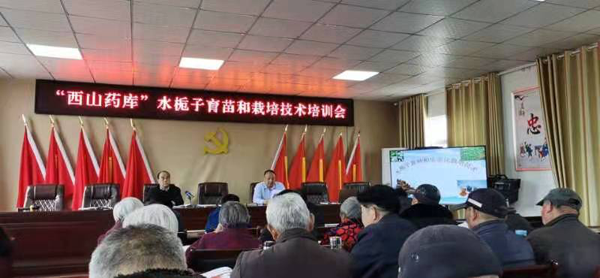 三月春雨润沃土 “西山药库”培训忙 —— 西山药库研究院人才培训工作正式启动