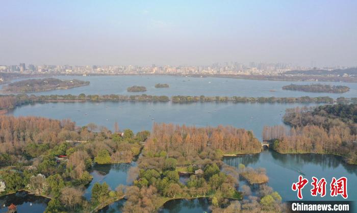 子在西湖里私自放生甲鱼 专家：或将引起基因污染