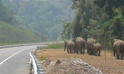 85后小伙卖家电 年销售额2000万